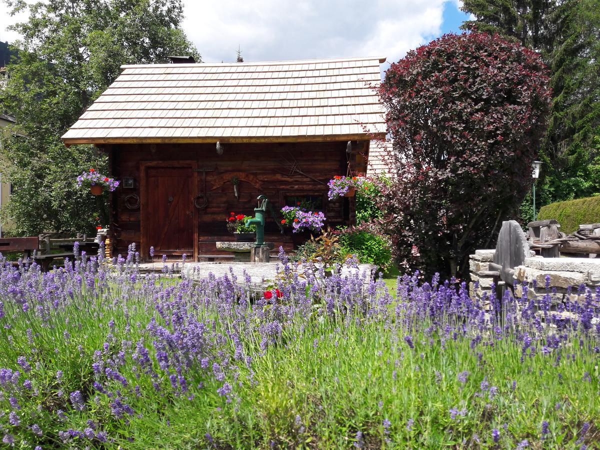 Hotel Stegmuehlhof Mauterndorf  Exteriér fotografie